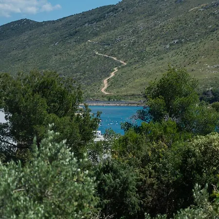 Jadranka Grebaštica