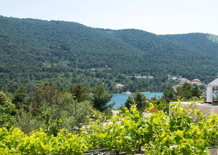 Jadranka Appartement Grebaštica